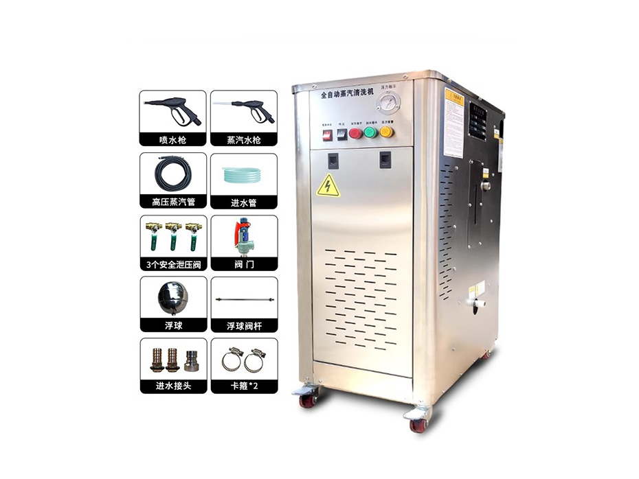 Steam Cleaner